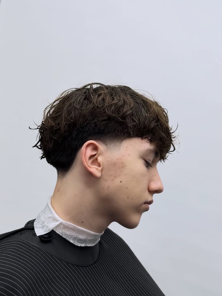 Lucrare Vandalll Barber 1