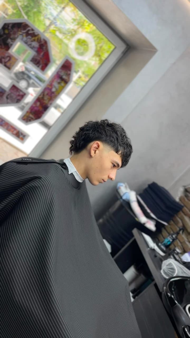 Lucrare Vandalll Barber 3